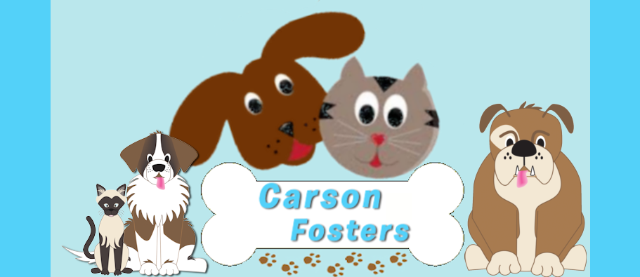 Carson Fosters. Finding fosters for dogs and cats incarcerated in Carson Anmal Care Center in Gardena, CA.