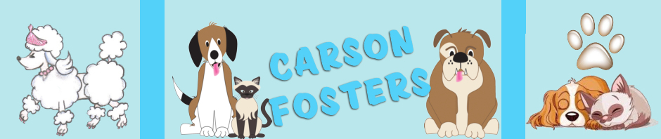 Carson Fosters: Foster/rescue matching service for Carson shelter dogs and cats in Los Angeles, California.